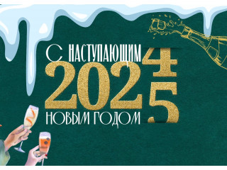 С наступающим 2025 новым годом! 